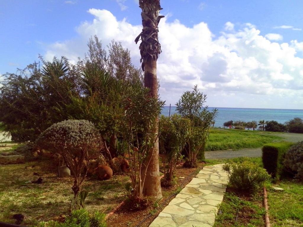 Yialos Apartments Pissouri Habitación foto